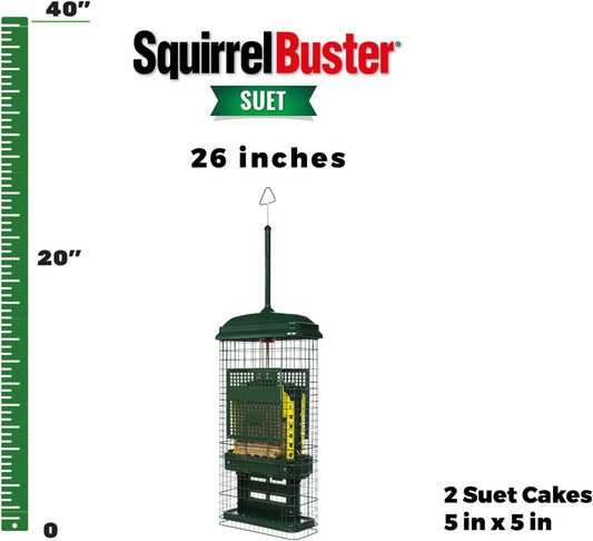 Squirrel Buster Suet Squirrel-Proof Suet Bird Feeder with Two Suet Cake Trays, Two Crumb Ports, Mess-Free Suet Loading, Durable Green Design for Clinging Birds