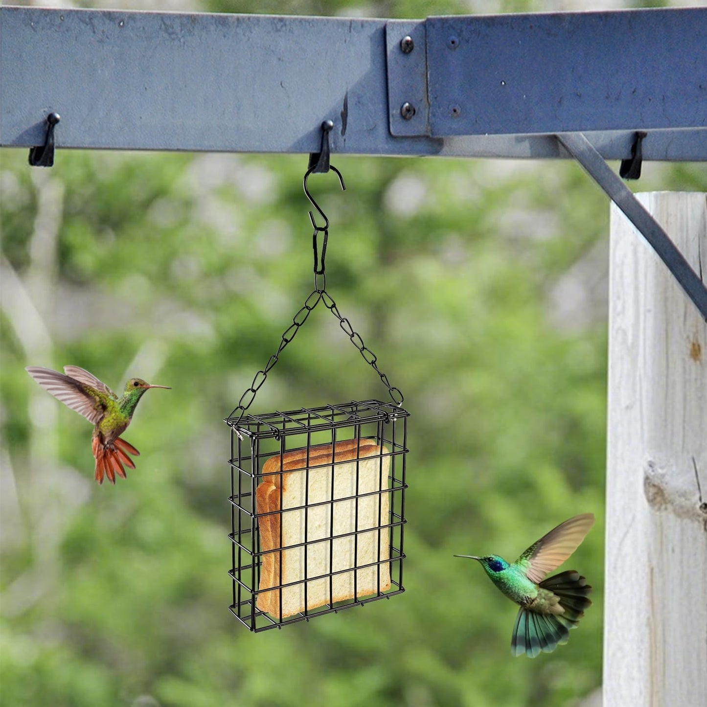 Two of Durable Outdoor Garden Yard Patio Suet Bird Parrot Easy Open Reusable Feeders Squirrel Proof for Outside Wild Bird Parrot Woodpecker Hummingbird Hanging Fruit Capacity Suet Cake Food