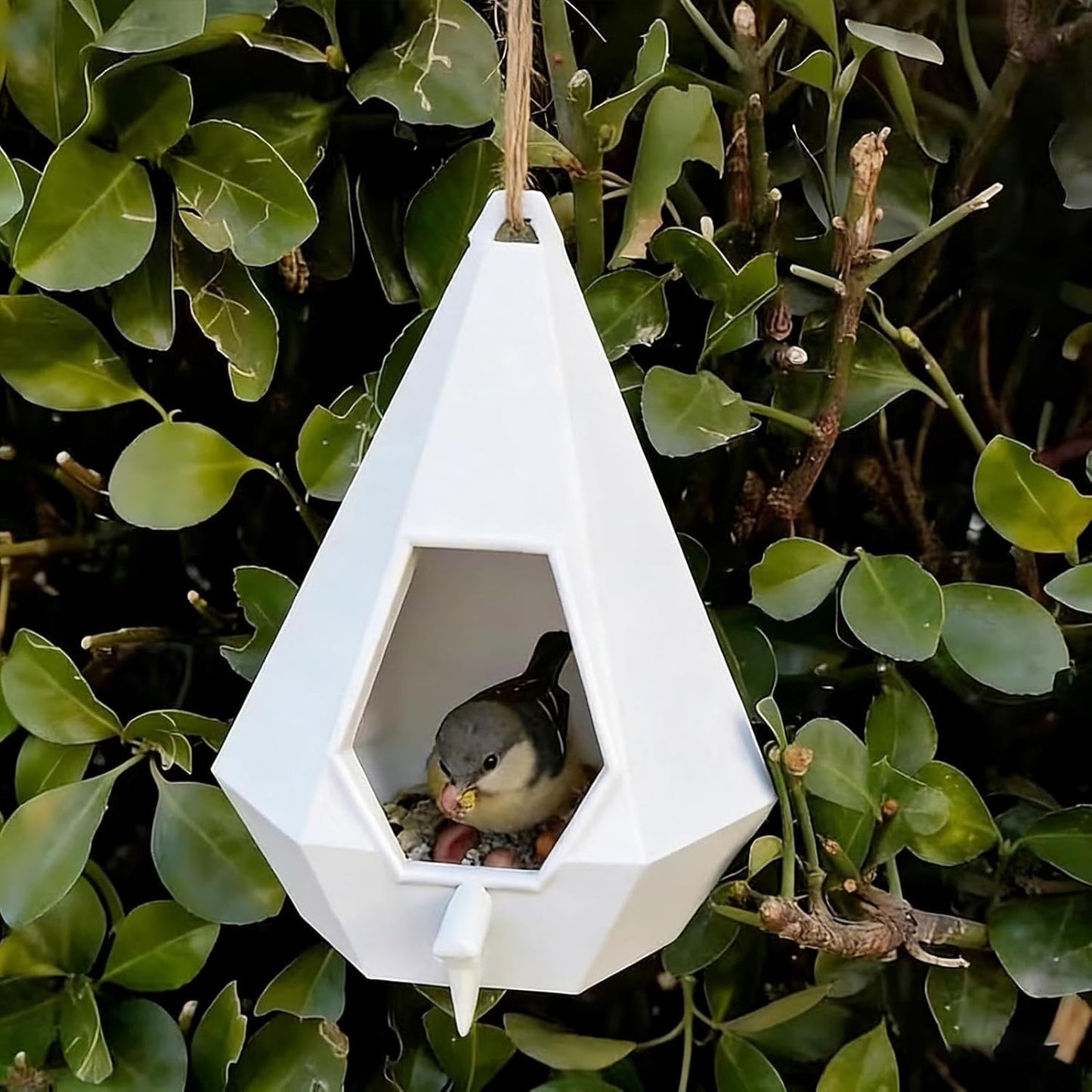 Bird Feeders - Teardrop Hummingbird Habitat - Heavy Duty Bird Feeder | for Animal Pet Home Balcony Yard Garden Patio Indoor Outside Backyard