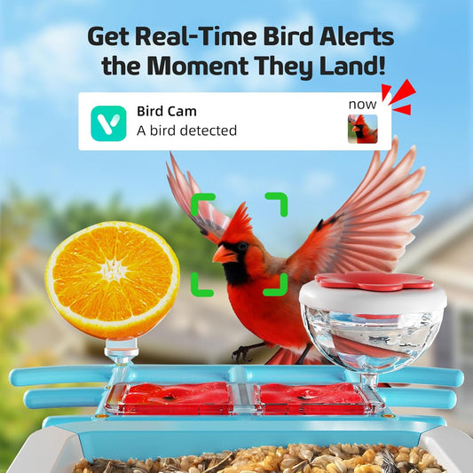 Bird Feeder with Camera 2K HD AI Smart Identify BirdSpecies Solar Panel Outdoors Birdhouse with Cam, Instant Arrival Alerts, Capture BirdVideo, Gifts for Mom Dad