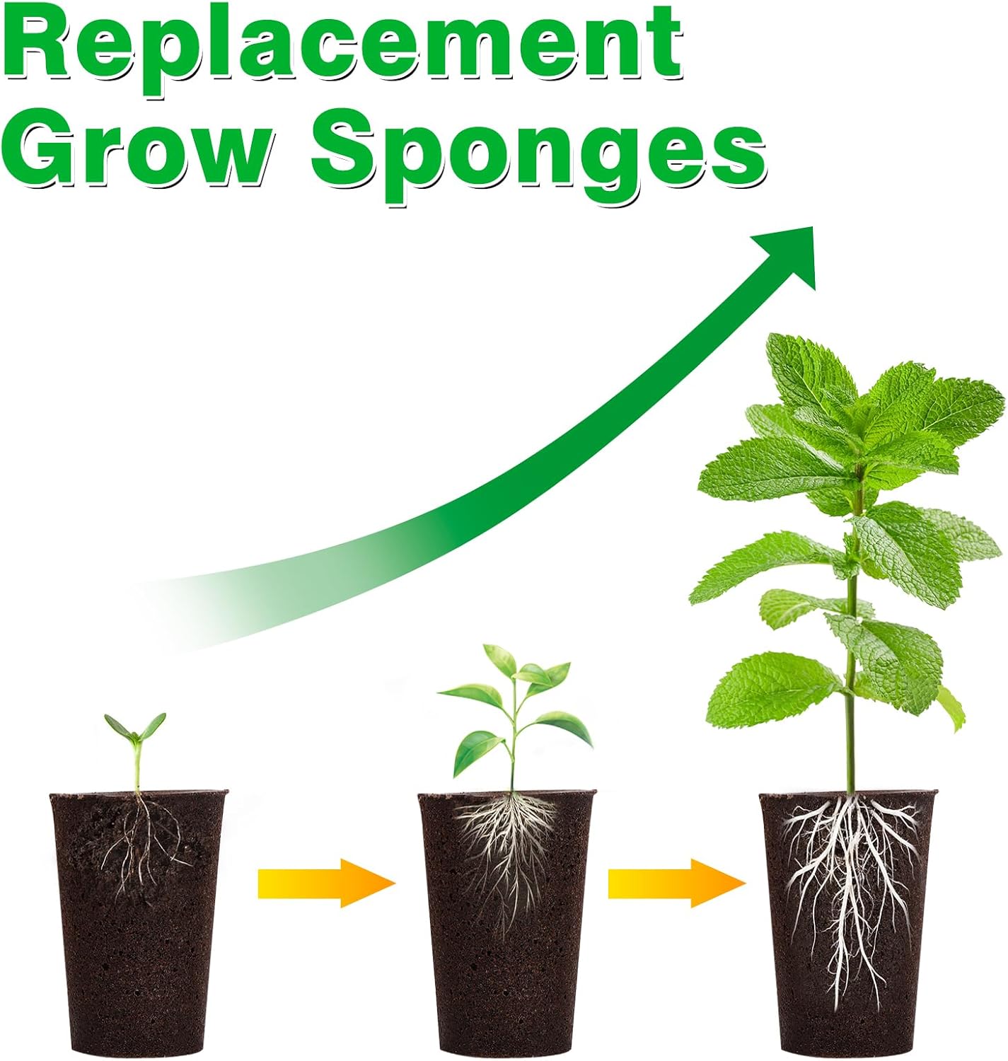 50 Pack Grow Sponges, Large Seed Pods Replacement Sponges, General Hyd