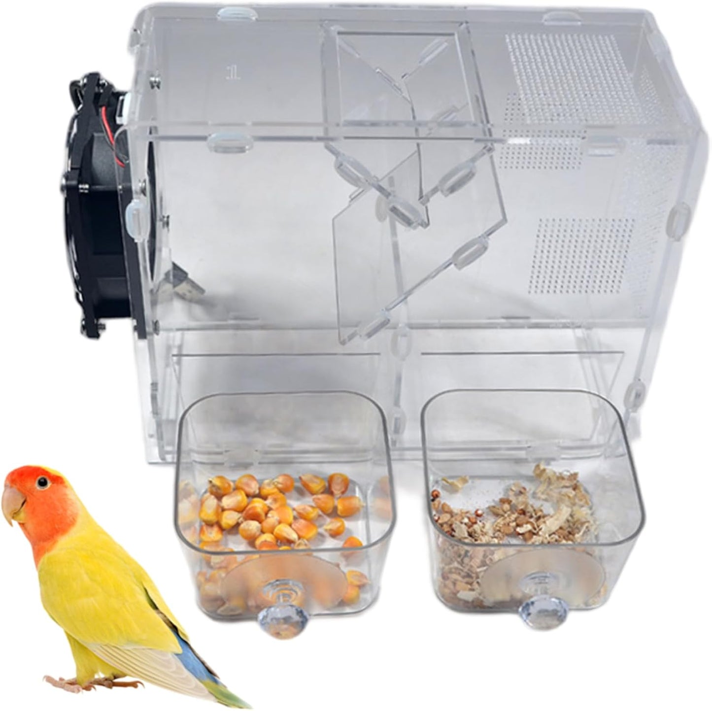 Bird Seed Storage Container with USB Powered Feeder Clear Window Bird Feeder for Outdoors Garden Easy to Clean