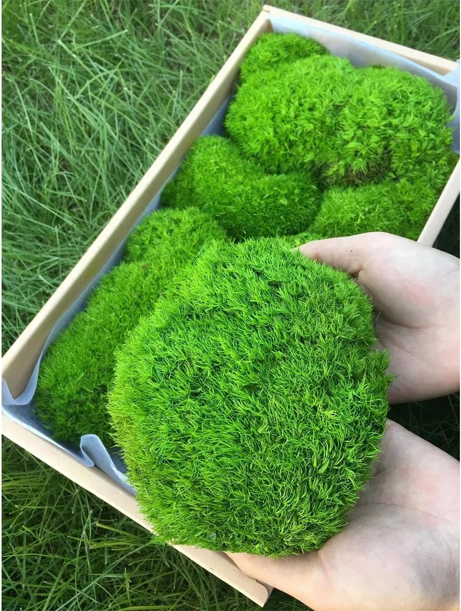 Queenbox 3.5oz Faux Moss, Solid Artificial Decorative Plants for Flowerbed Art Landscape Home Office Garden Terrarium, 2