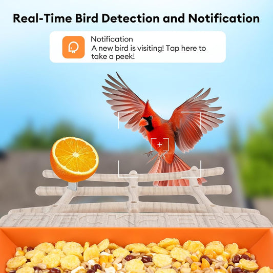 Bird Feeder with Camera Solar Powered, Smart Birds Feeder for Outside,
