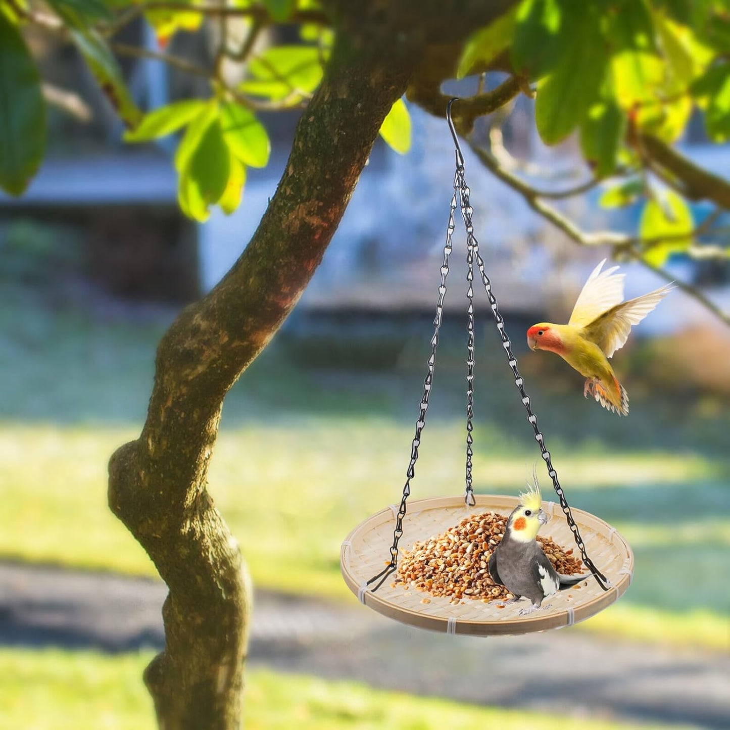 Hanging Bird Feeder Tray, 10 Inch Bamboo Mesh Platform Feeders Wild Bird Feeding Station for Backyard Garden Attracting Wild Birds