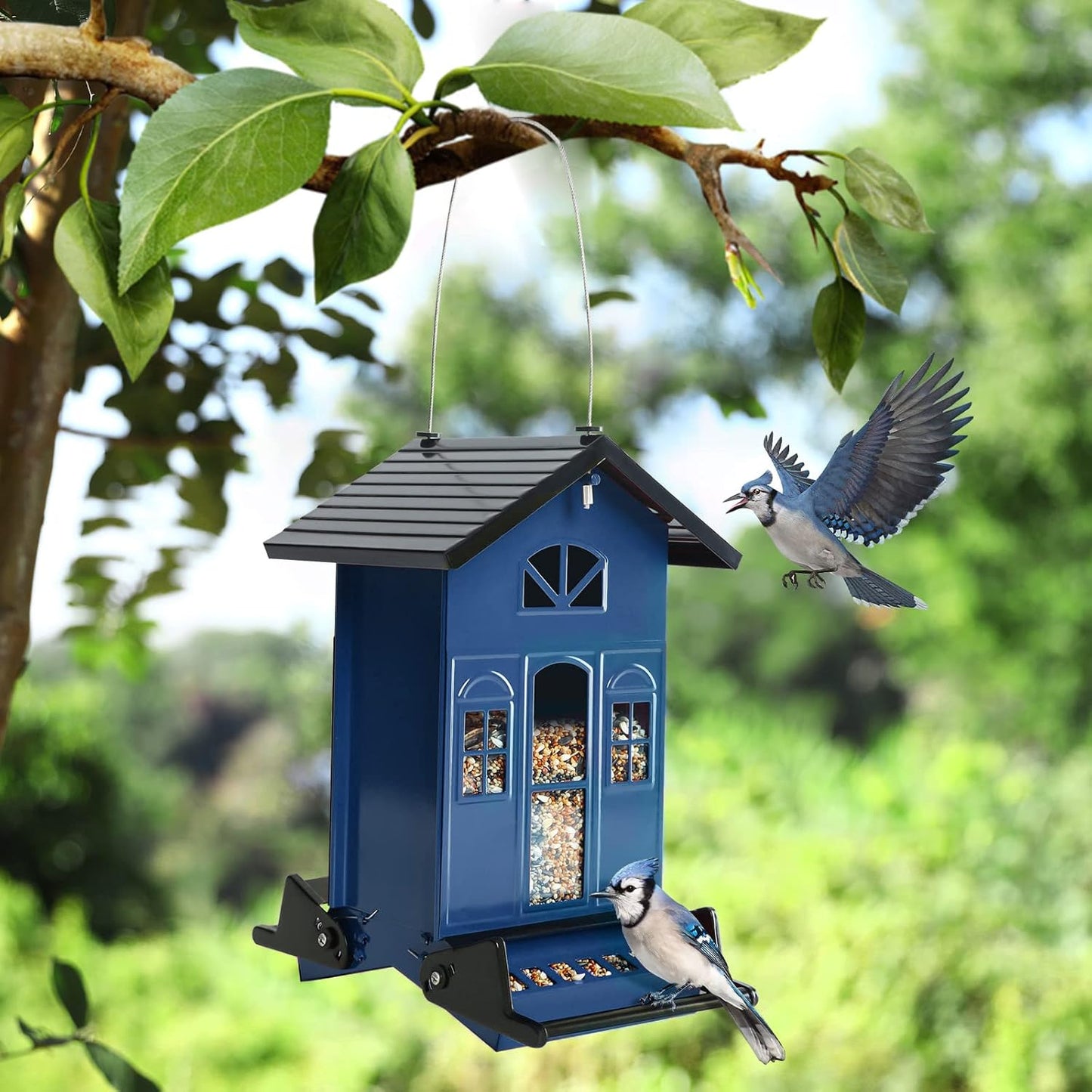Birdkiss Bird Feeder Squirrel-Proof Outside: Country House Series for