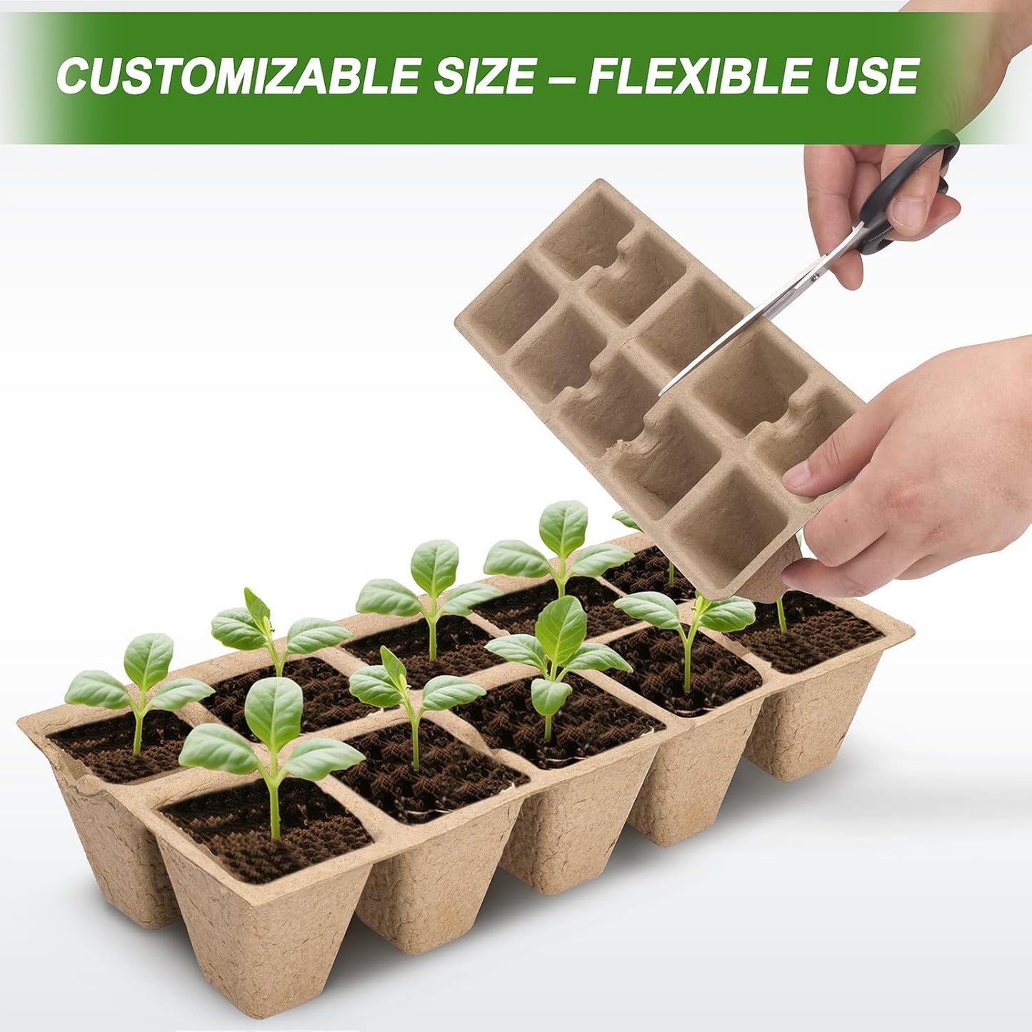 200 Cells Peat Pots, Seed Starter Trays Planting Trays for Seedlings,
