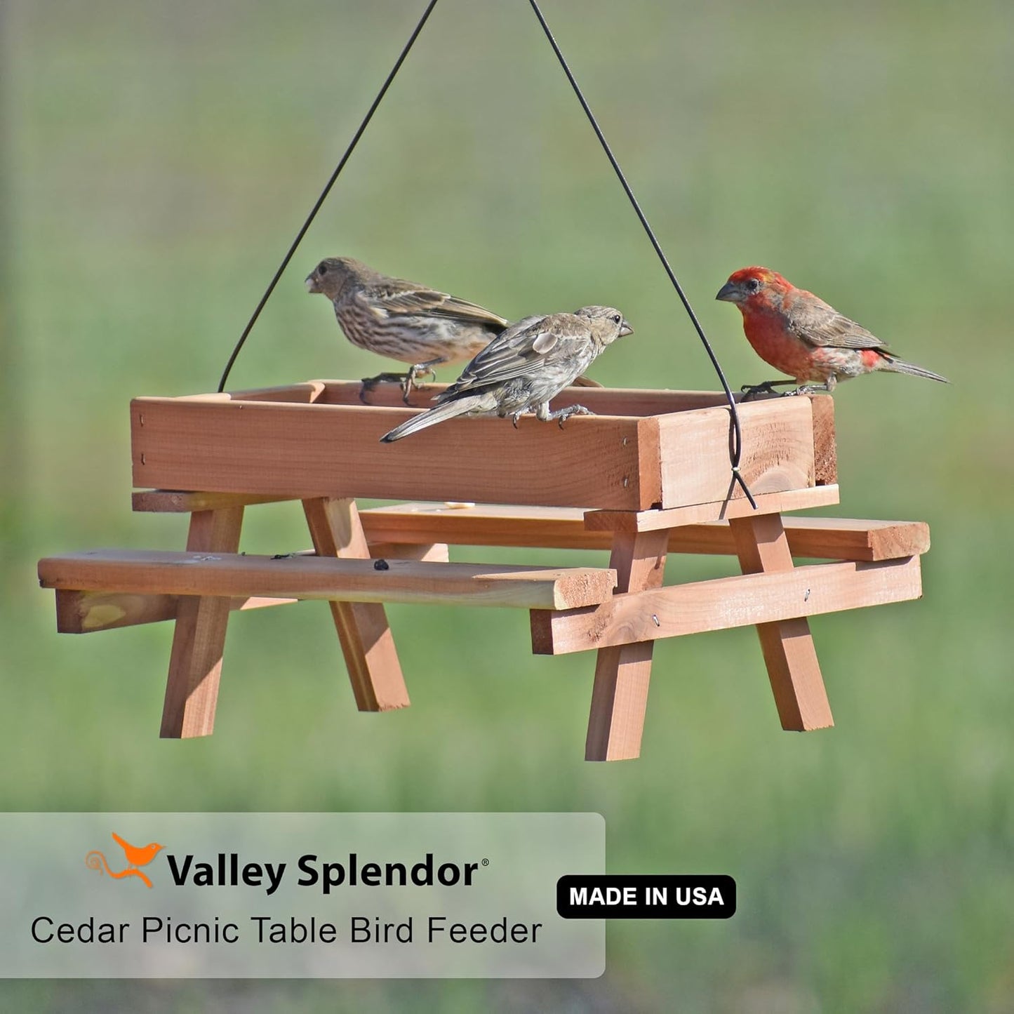 Cedar Picnic Table Bird Feeder - Made in USA