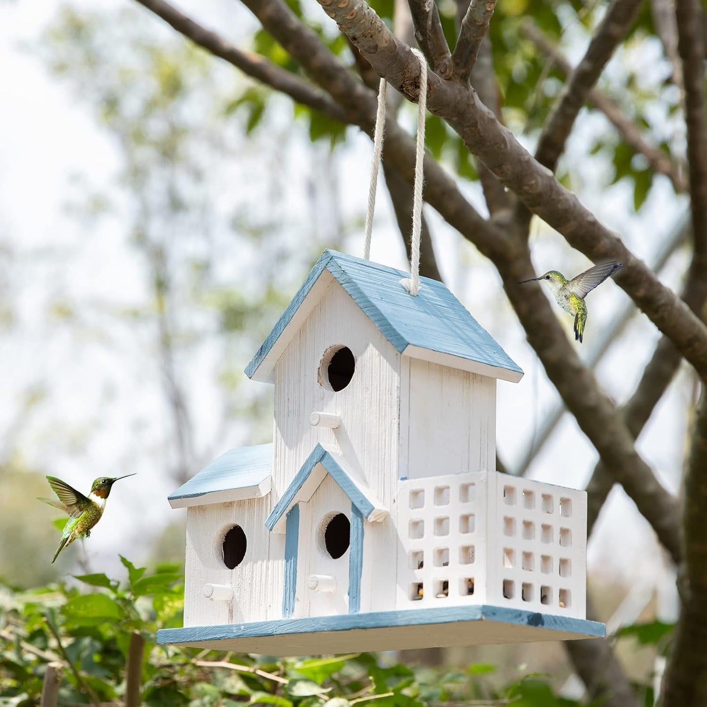 Birdhouse Premium Bluebird Houses for Outside Attract Beautiful Birds