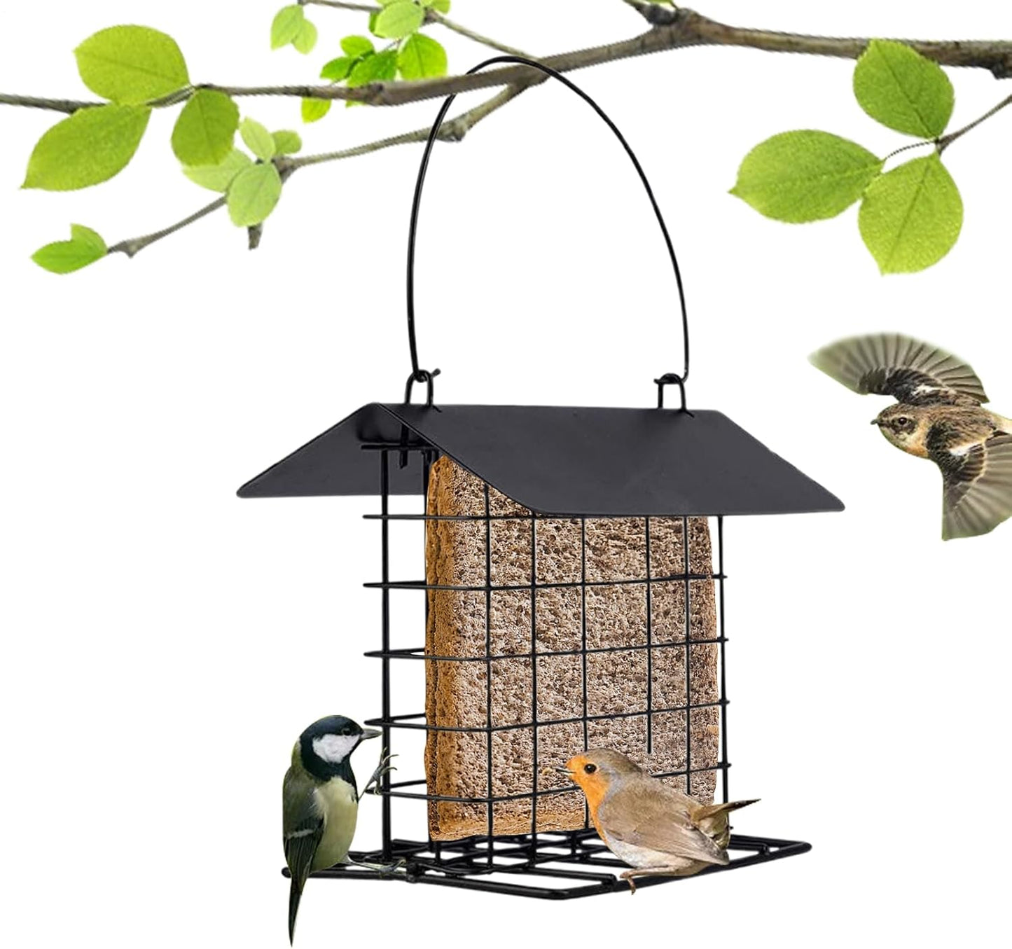 Squirrel Proof Suet Feeder - Reusable Feeding Station, Sturdy Bird Cage Feeder, Easy Fill Design, Premium Weather-Resistant Material, Wild Bird, Backyard Outdoor Use, Hummingbird Woodpecker Birds