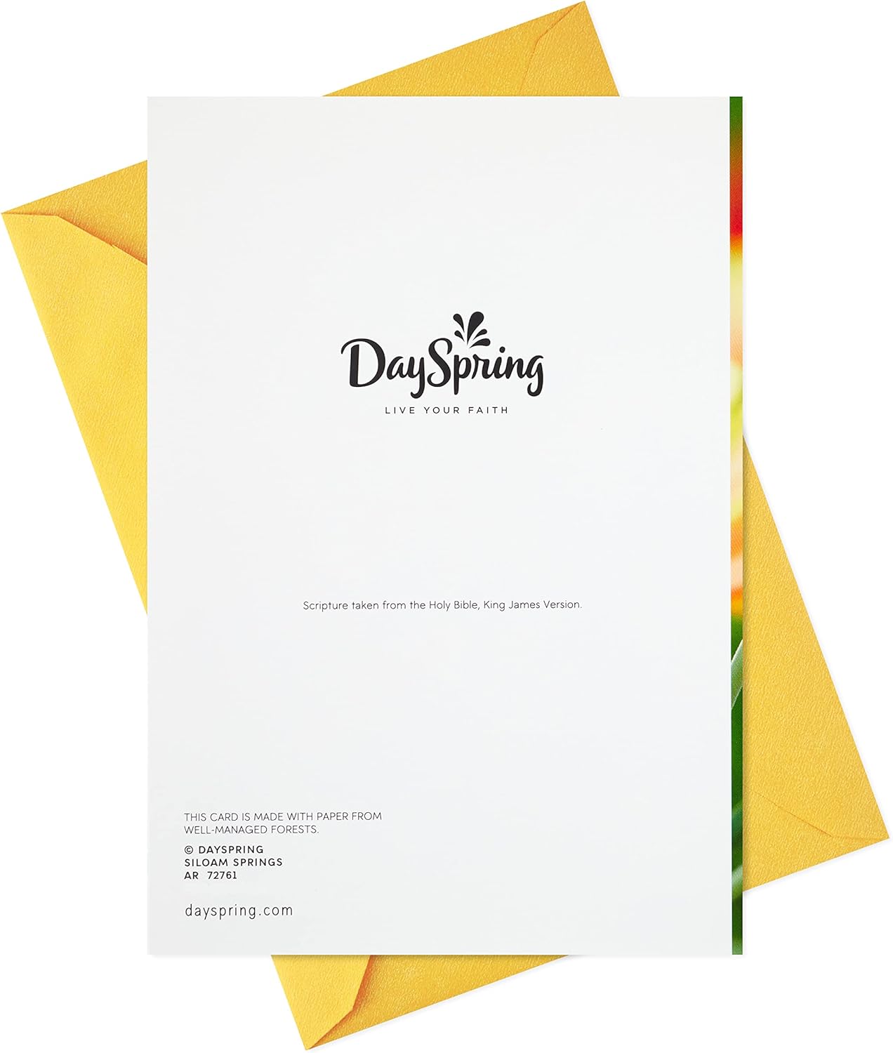 DaySpring Pack of Religious Easter Cards, He is Risen (10 Cards with Envelopes)
