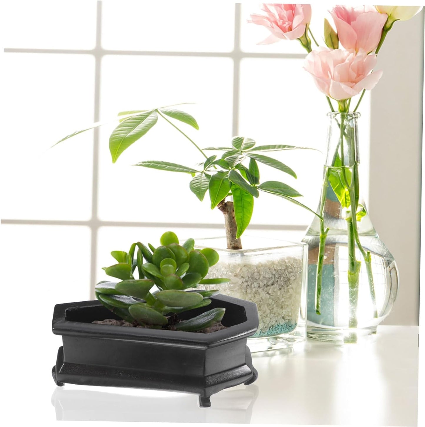 Coffin-Shaped Decorative Planter for Plants Vintage Flower Pot for Dec