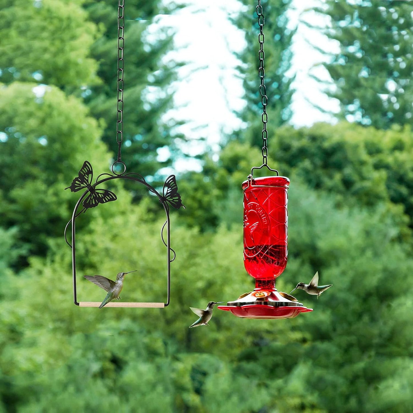 Hummingbird Swing 2 Pack Attractive Hummingbird Perch with Rust Resist