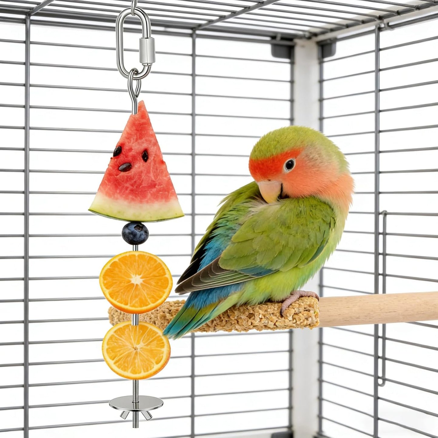 Bird Cage Food Holder, 3 Pcs Bird Treats Skewer Stainless Steel Parrot Foraging Toys Hanging Fruit Vegetable Feeder for Macaw Parakeet Budgie (3 Sizes)