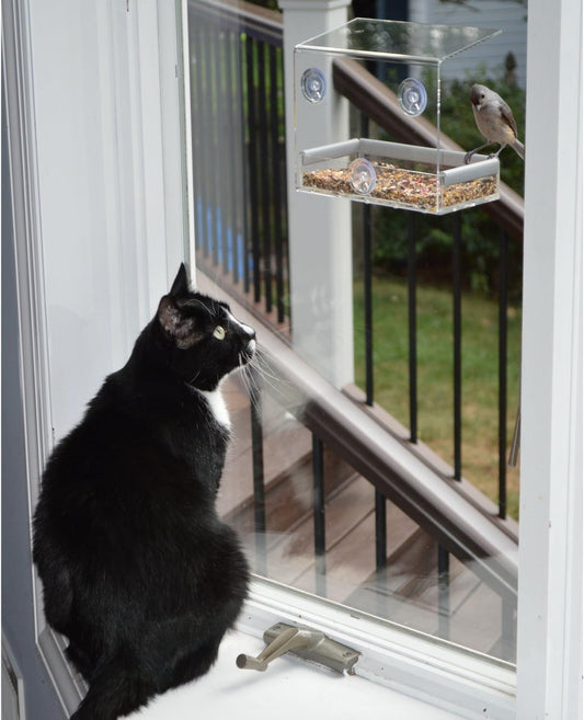PetFusion Tranquility Window Bird Feeder in Premium Lucite Acrylic. (I) Removable Tray, (II) 3 Perches, Clear