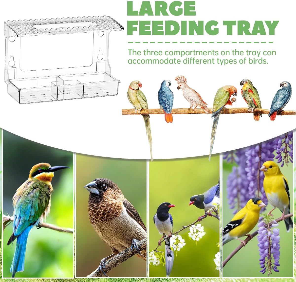 Bird Feeders for Outdoors Detachable Window Bird Feeder Clear Window Birds Feeders with Strong Suction Cups Suitable for Observation, Garden, Patio, Photography (with Sink on top)