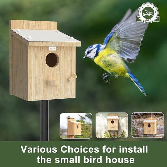 Bird Houses for Outside, Bluebird House with Standing Perch, Hanging Wood Bird House with Waterproof Acrylic Plate for Small Birds Bluebird Finch Swallow Wren Chickadee Assembly Required