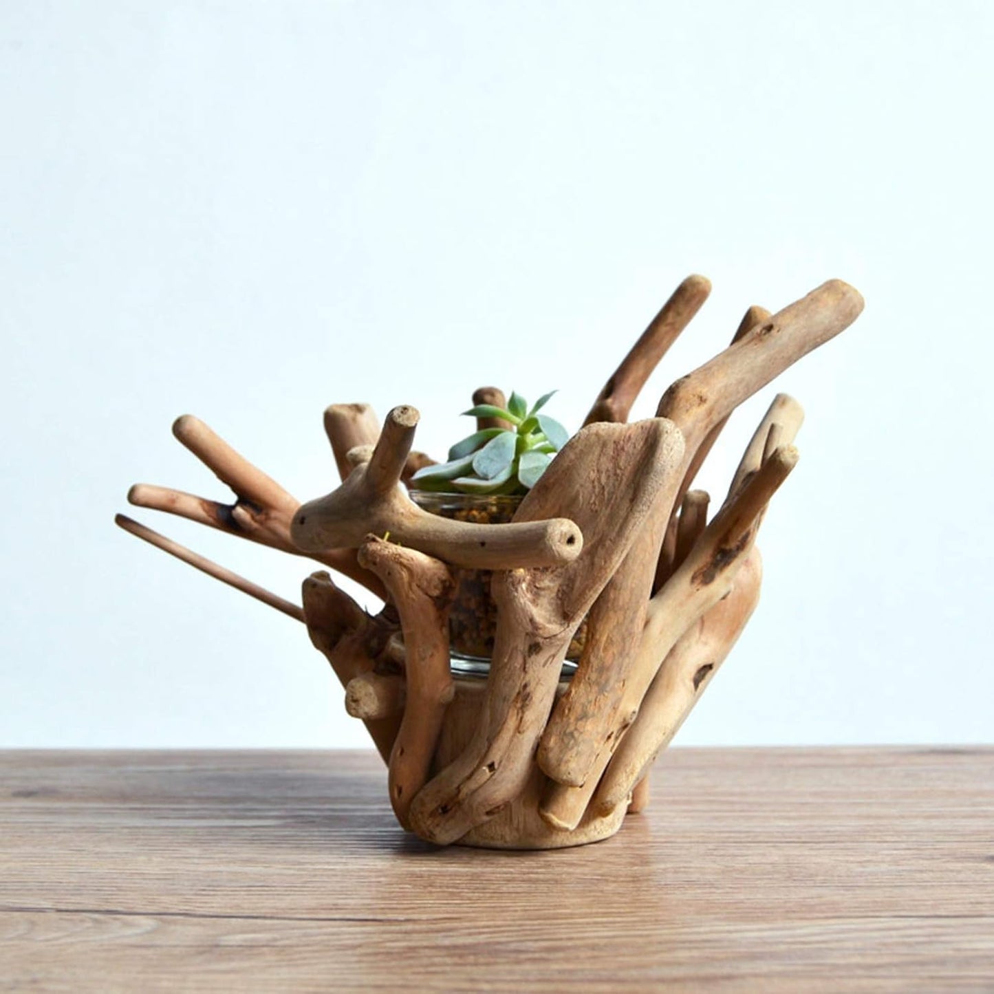 Planter Pot Solid Wood Flower Pot Unique Root-Shaped Planter Pots Suitable for Indoor and Outdoor Succulent Flower Pots(Plants NOT Included) Planting Pot Flower Pots