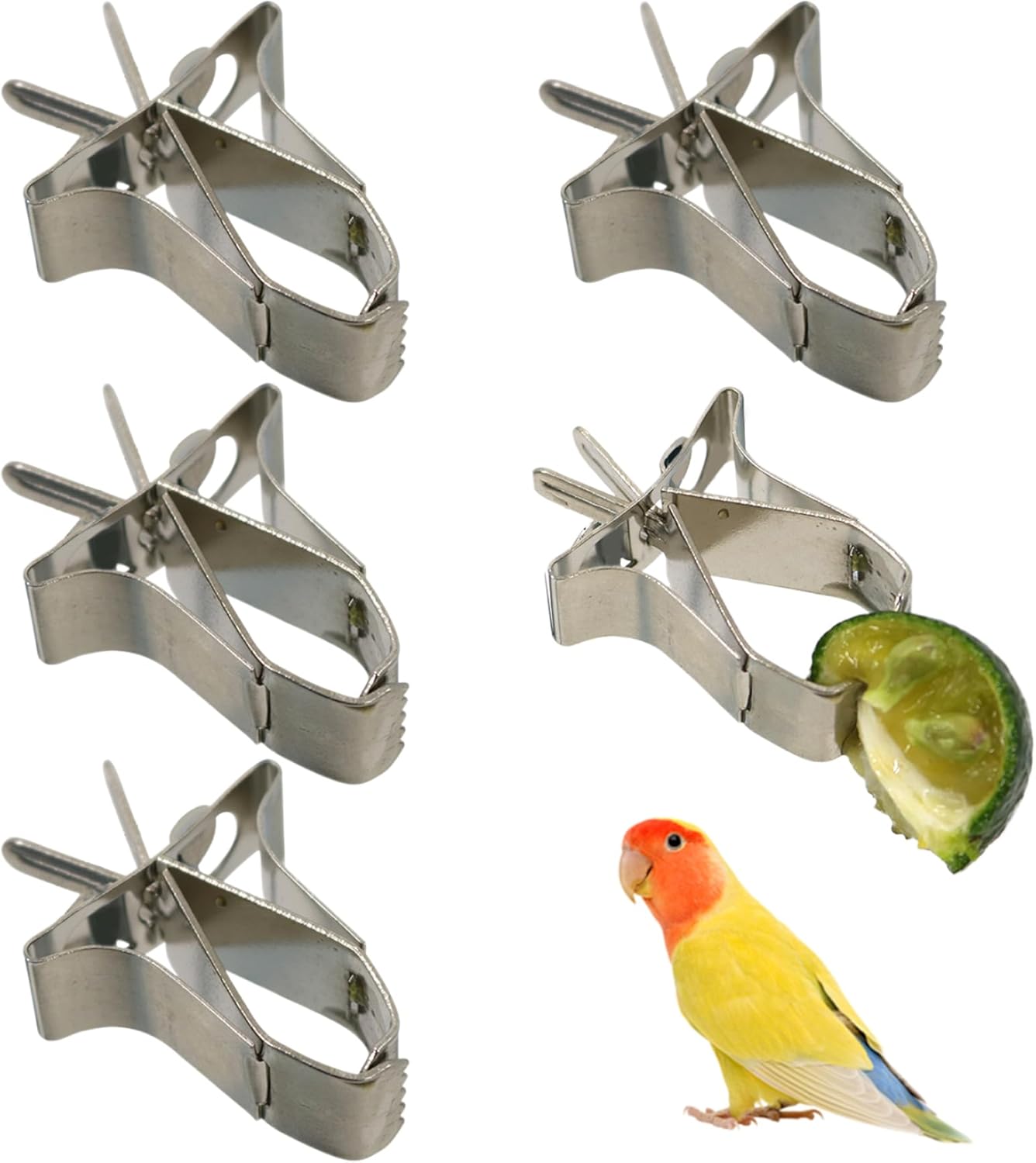 5Pcs Bird Food Holder Cage Mount Fruit Bird Feeder Stainless Steel Feeder Clip Style Silver for Parakeet Budgie Macaw Cage Accessories
