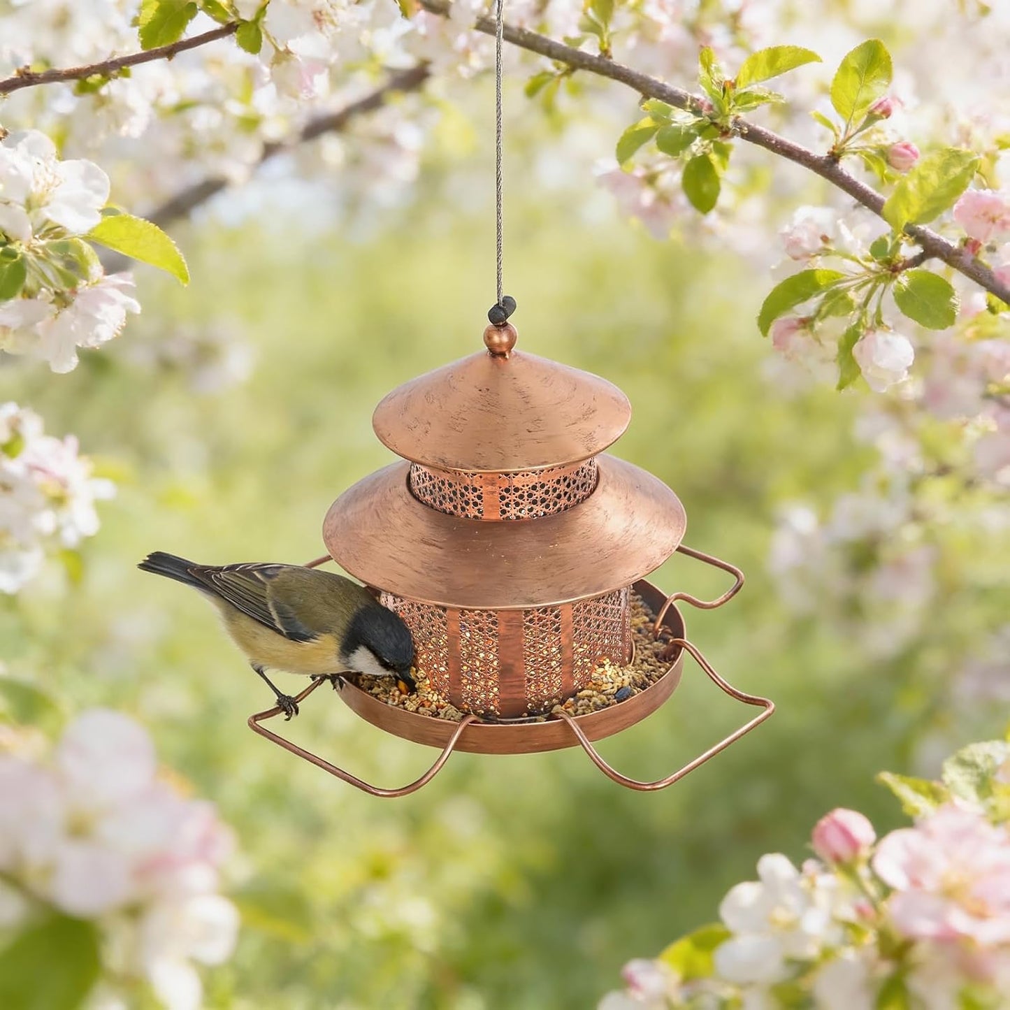 Bird Feeder for Outdoors Hanging, 1.5LB Capacity with 4 Perches, Heavy