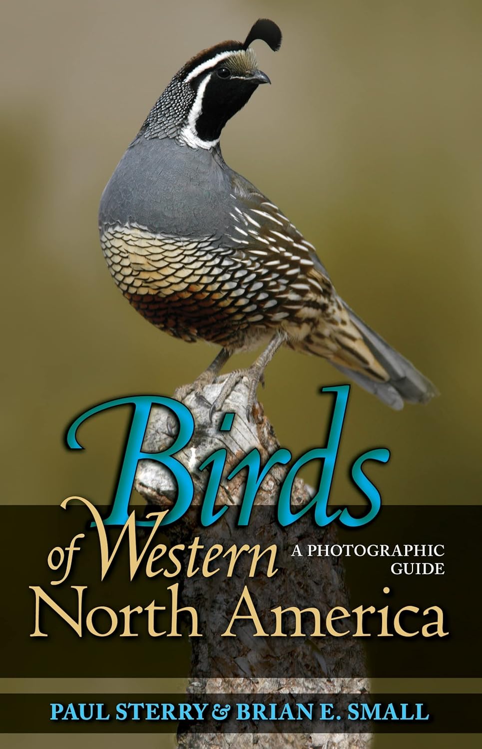 Birds of Western North America: A Photographic Guide (Princeton Field Guides)