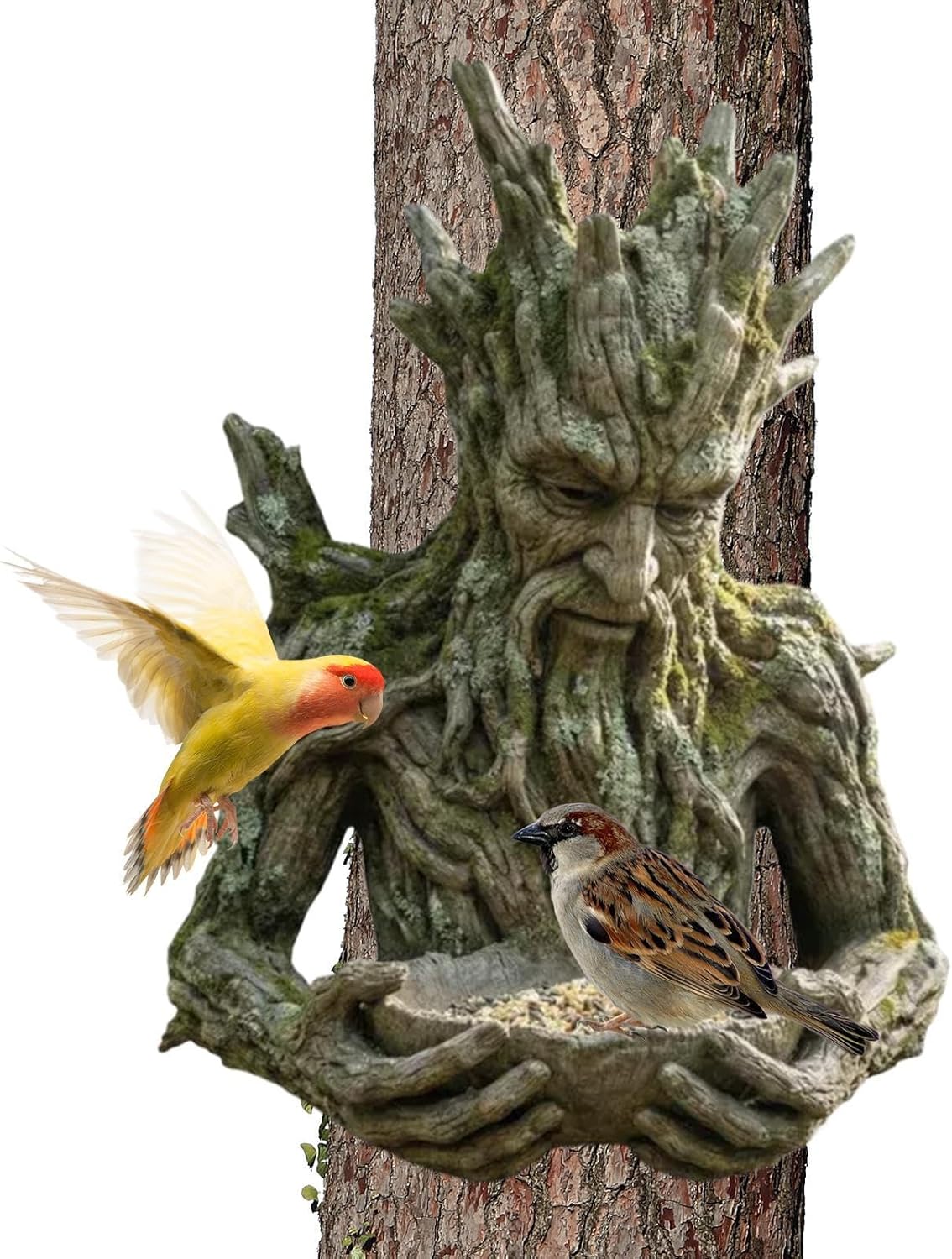 Garden Bird Feeder - All-Weather Resin Sculpture - Outdoor Small Bird Feeder Bowl,for Robins Sparrows Budgies Backyard Balcony Patio Terrace Park