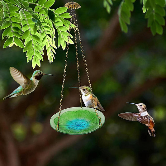 Bird Feeder,Elegant Food Tray Decoration - Bird Feeding Station - for