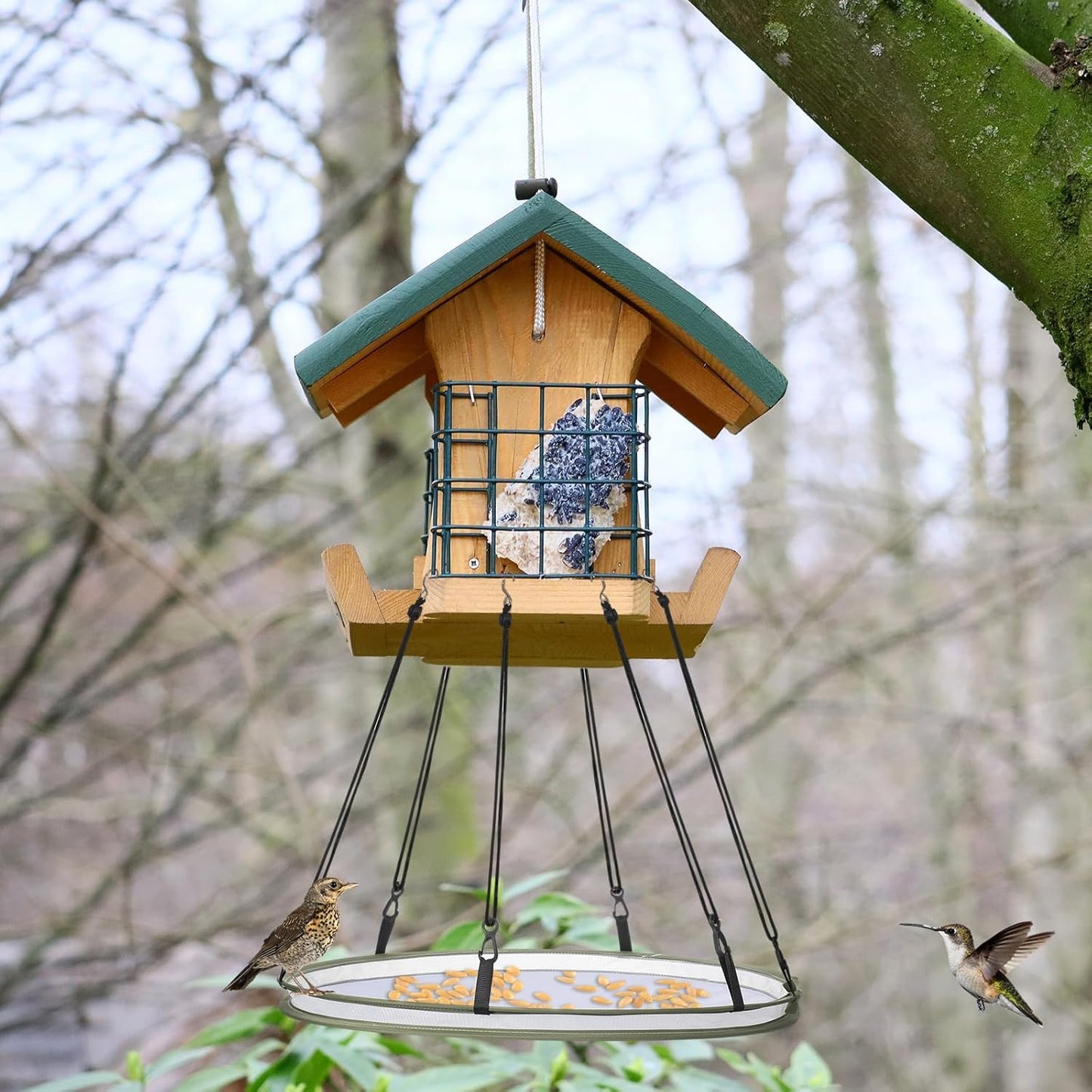 2 Pieces 16 Inch Universal Wild Bird Seed Catcher Hanging Hoop Platform Bird Seed Catcher Tray for Hummingbird Feeders Bee Feeder Outdoor Garden Accessories