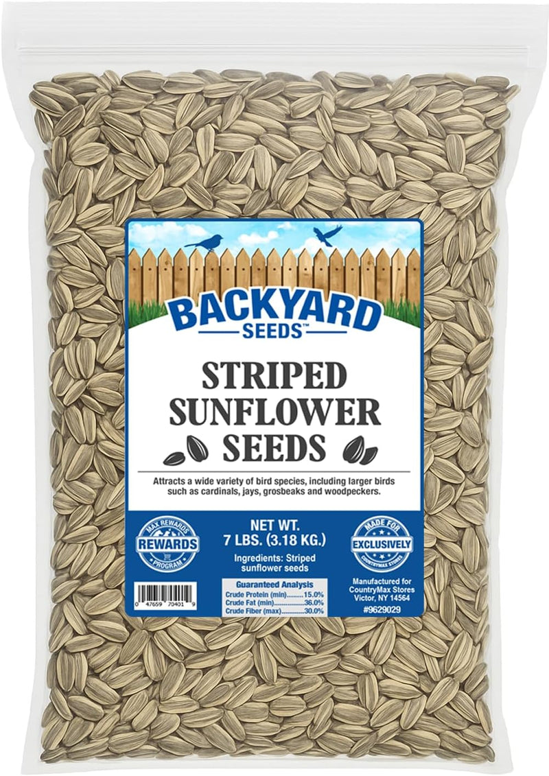 CountryMax Backyard Seeds Striped Sunflower Seeds for Cardinals 7lbs - Premium Large Bird Seed for Outside Feeders, Small Bag of Wild Bird Food