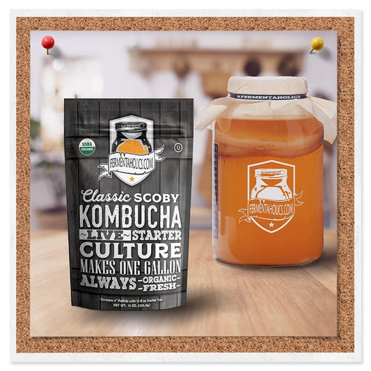 Fermentaholics ORGANIC Kombucha SCOBY With Twelve Ounces of Starter Tea - Live Starter Culture - Makes A One Gallon Batch - 1.5 Cups of Strong Mature Starter Tea - Brew Your Own Kombucha (1 Pack, 1, Count)