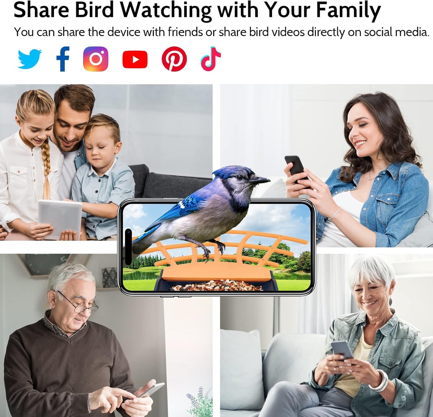 Birdkiss Smart Bird Feeder Camera with Solar Panel - AI Identifies Bird Species, Auto Captures Videos & App Notifications, Includes 32GB SD Card