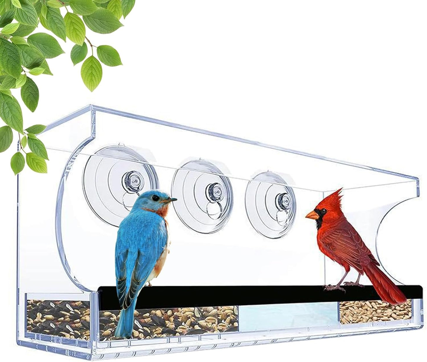 Window Bird Feeder, Suction Cup Food Box, Acrylic Clear Detachable Feeder for Indoor, Deck Patio Balcony Observation, Spill-Proof Feeding Station, Kids Bird Watching Accessory