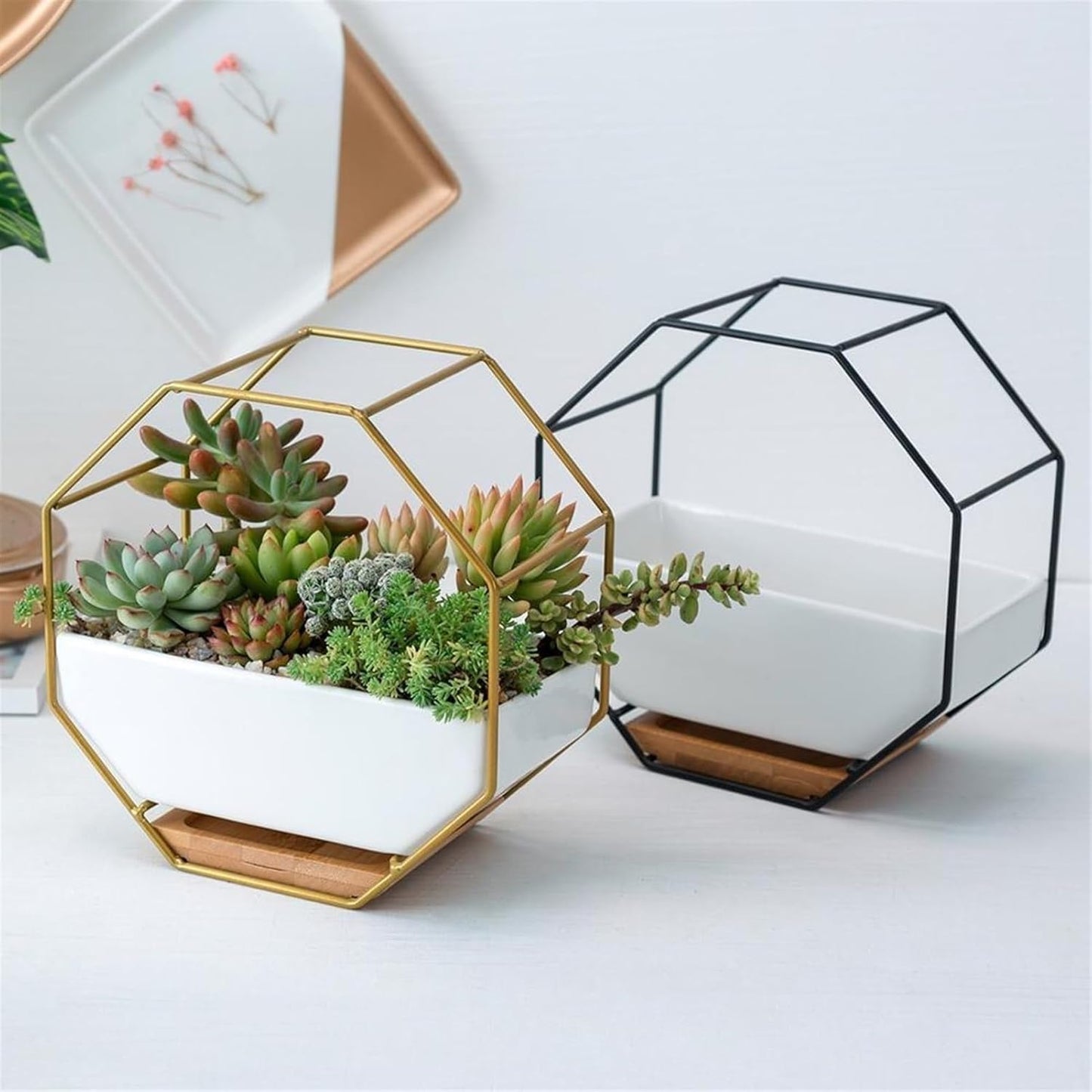 vases Wall Hanging Succulent Plant Flower Pot Table Ceramic Dish Vase Decor a Flower Pot Plant/Flower Pot Planter Garden Flower vase(Black)