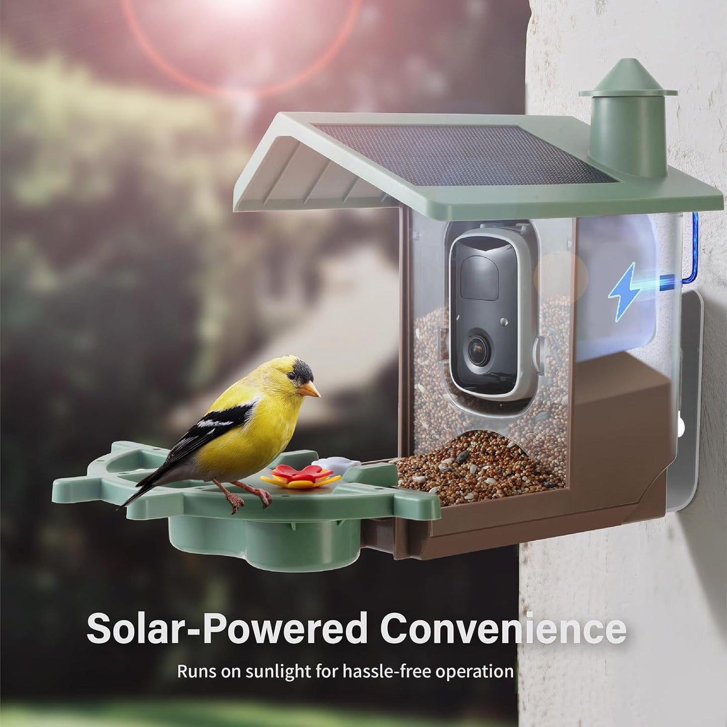 Smart Bird Feeder with Camera Solar Powered Outdoor - 2K HD Live Video