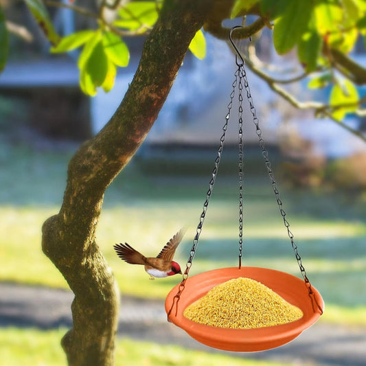 Hummingbird Feeders - Hangable Candy Color, Food Dispenser for Feeding, Bird Food Dish, Solid Polymer Frame with High-Gloss Base, Gardening Support Hub for Attracting Hanging Decorating