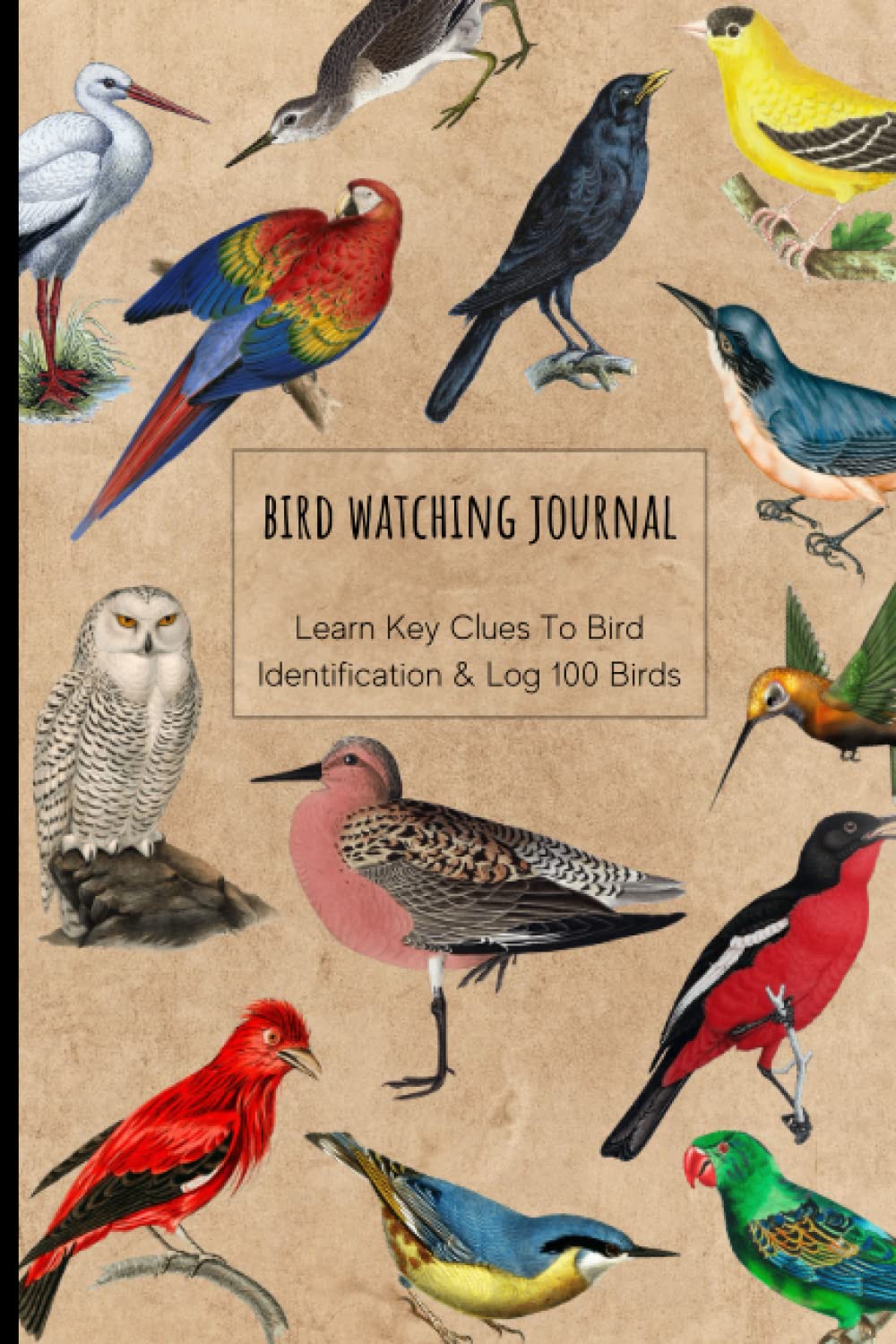 Bird Watching Journal: Log Book To Record 100 Birds & Learn Key Clues To Bird Identification, Great Gift For Adult And Teen Bird Watchers