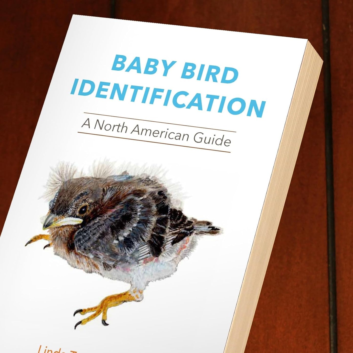 Baby Bird Identification: A North American Guide
