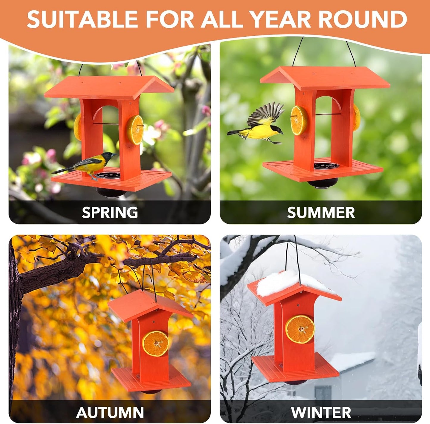 Oriole Feeder for Outdoors Hanging with Gift Box, Durable HDPE Plastic Oriole Jelly Feeder w/Fruit Holder & 6oz Glass Bowl, Bird Feeder for Orioles for Garden, Patio, Backyard