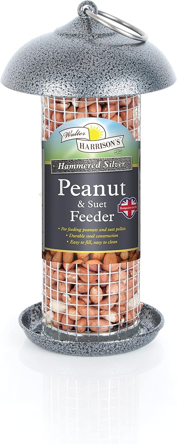 Walter Harrison's Hammered Silver Mini Wild Bird Hanging Peanut and Suet Feeder - 20 cm
