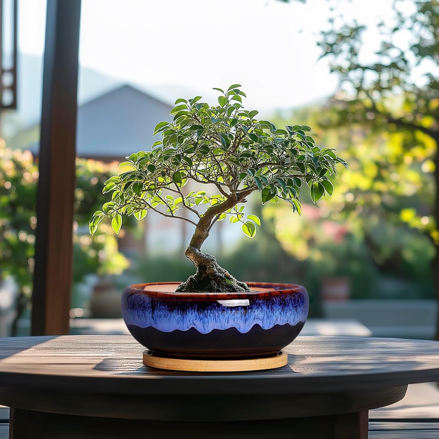 SQOWL 7 Inch Round Ceramic Succulent Planter Pot Drip Glazed Shallow P