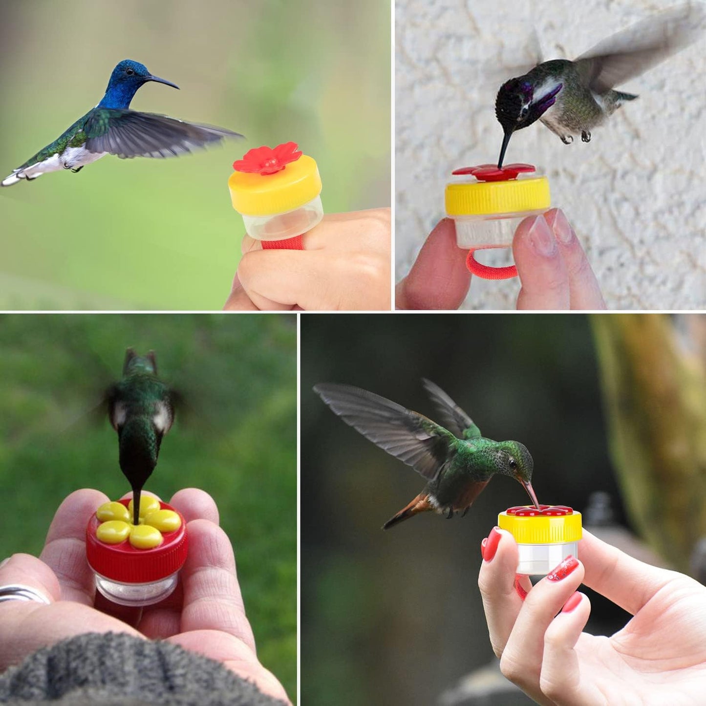 Hand Held Hummingbird Ring Feeders, 4Pcs Mini Hummingbird Hand Feeder with 4Pcs Cleaning Brush, Window Humming Wild Bird Feeders Tools for Outdoors Supplies