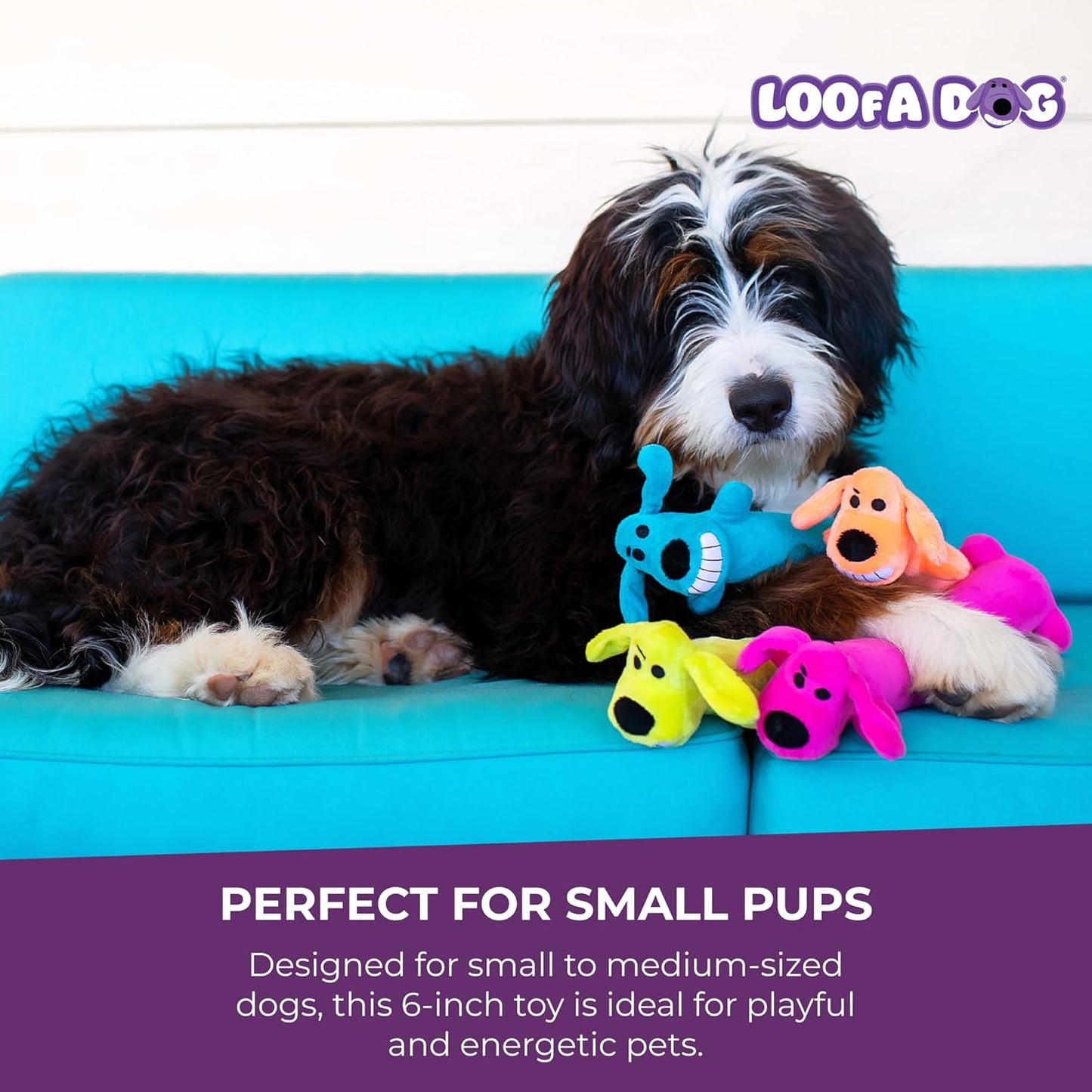 Multipet Original Loofa Dog Plush Toy - Squeaky Toy for All Dogs - Ext