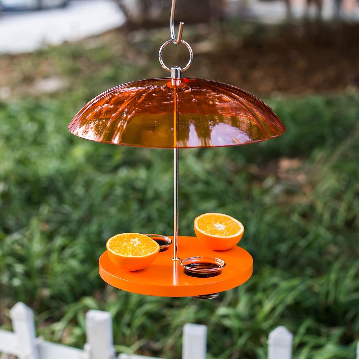 Kingsyard Oriole Bird Feeders for Outdoors Hanging, Double-Cup Jelly Platform Bird Feeder with Pegs for Orange Halves, Weather Protective Dome, Great for Attracting Orioles