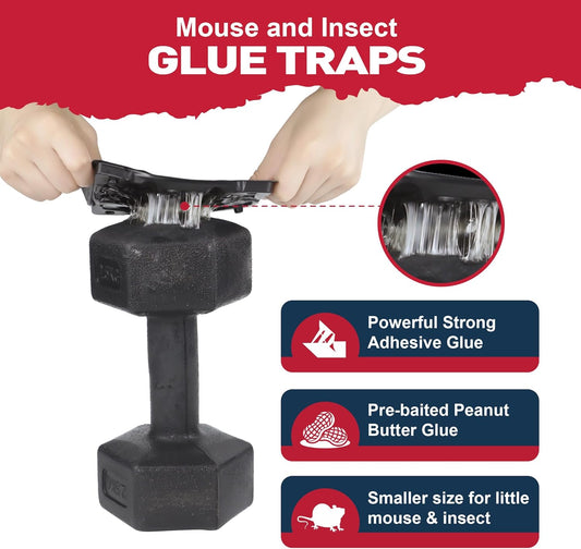 Glue Mouse Traps Indoor for Home -12 Pack Sticky MouseTraps Indoor for