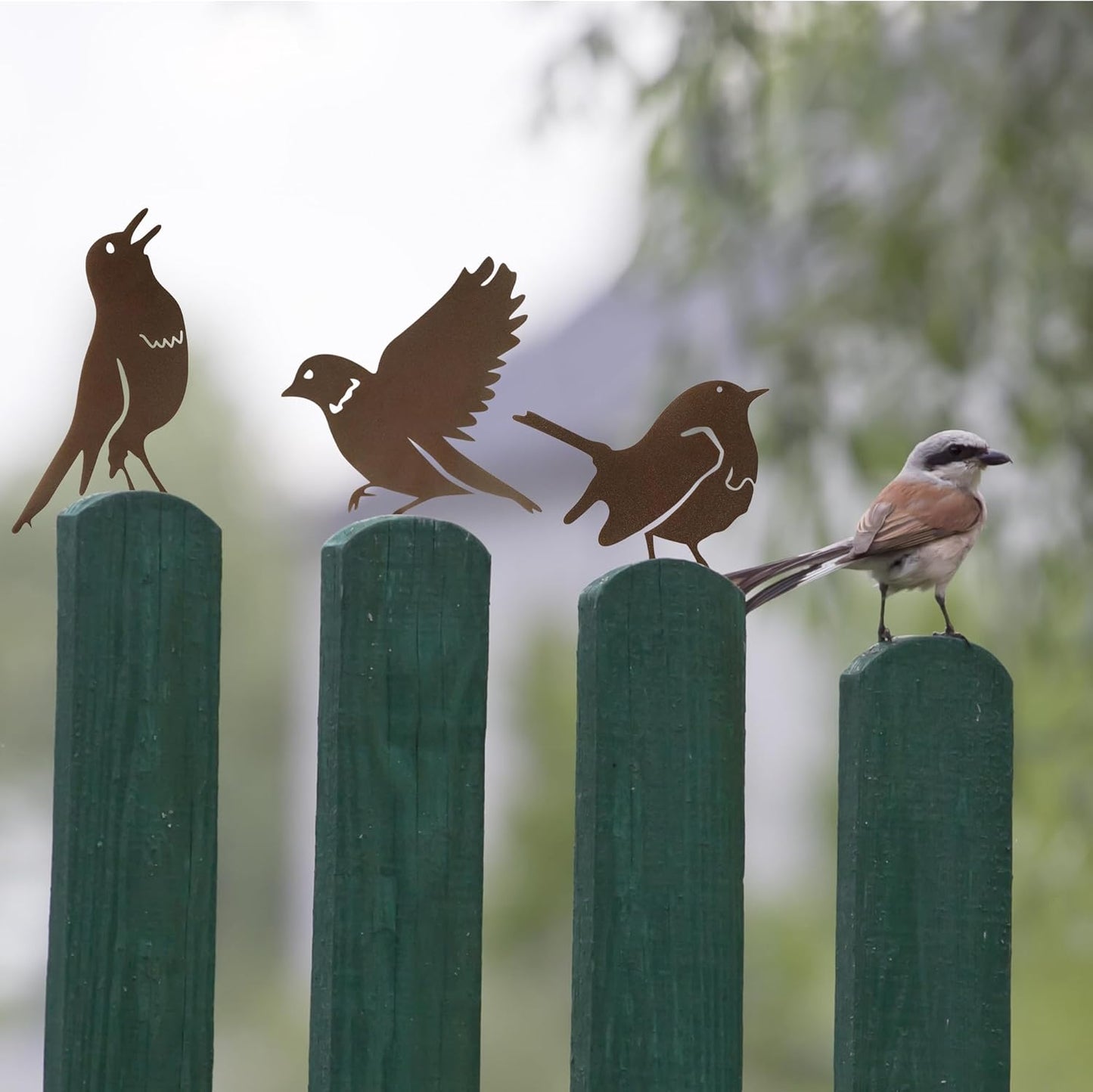 5PCS Rusty Metal Birds Decoration,Outdoor Fence Yard Decor,Metal Birds Craft Statue Ornaments for Yard Art,Garden Decor
