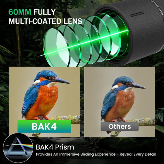 BIBIRE 25-75x60/80 HD Spotting Scope, BAK4 Waterproof Spotter Scope with Tripod and Phone Adapter for Birdwatching, Wildlife Wiewing Stargazing