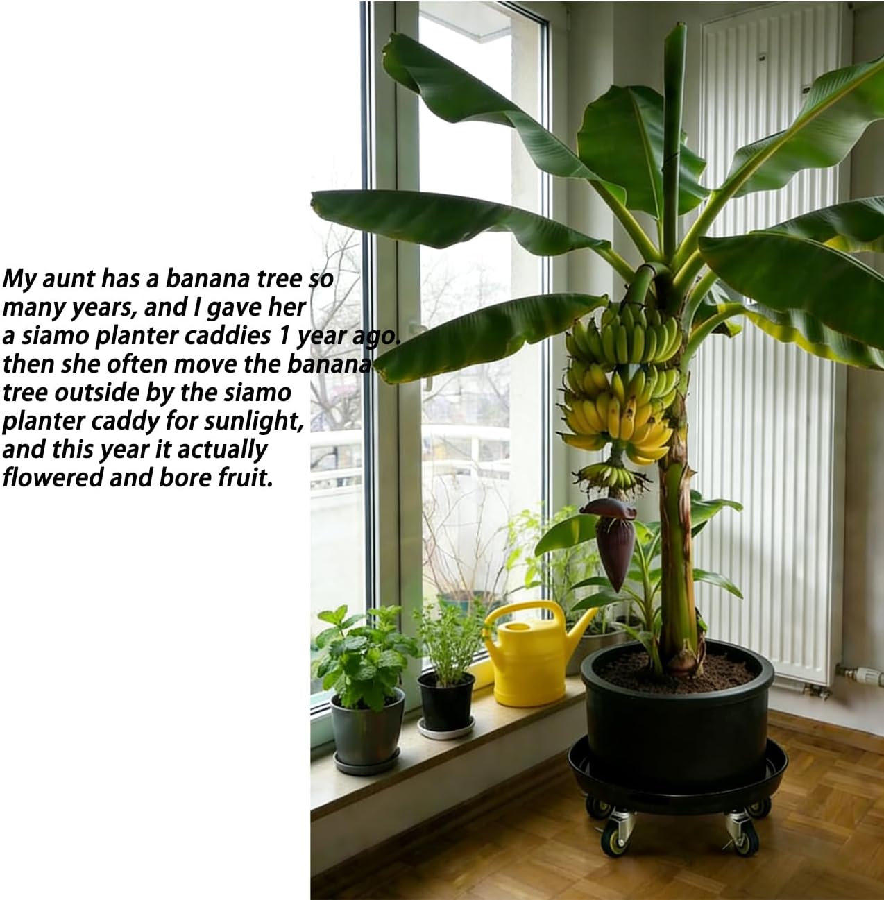 SIAMO 18" Heavy Duty Plant Caddy (470lbs Capacity)-Lockable Non-Scratch Swivel Casters Rolling Plant Stand Dolly Saucer for Large Ceramic Planters & Heavy Trees Indoor & Outdoor,Black