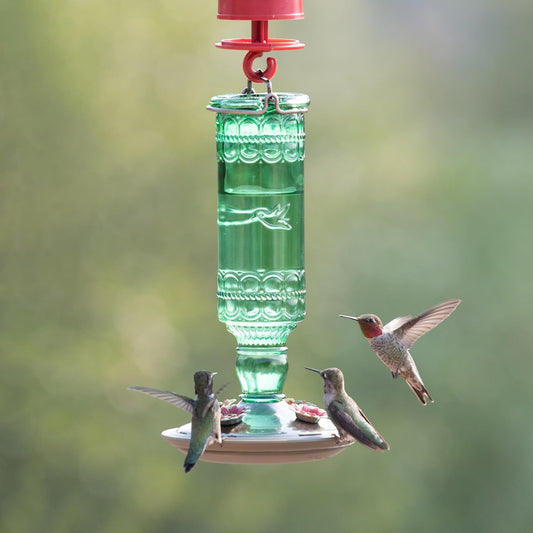 Perky-Pet 8108-1SR Antique Glass Bottle Hummingbird Feeder -10 oz + Perky-Pet 522 Ready-to-Use Clear Hummingbird Nectar in 4 Cans, 16 oz Each Recyclable Aluminum Can