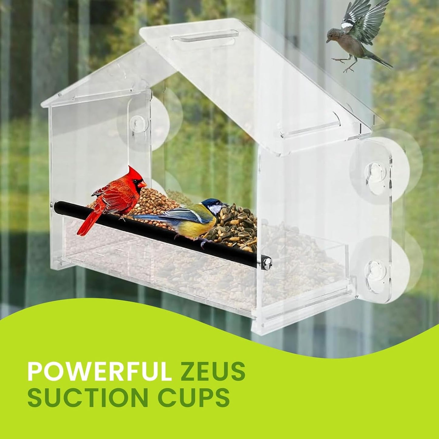 Nature Gear Window Bird Feeder with Strong Suction Cups, Clear Acrylic