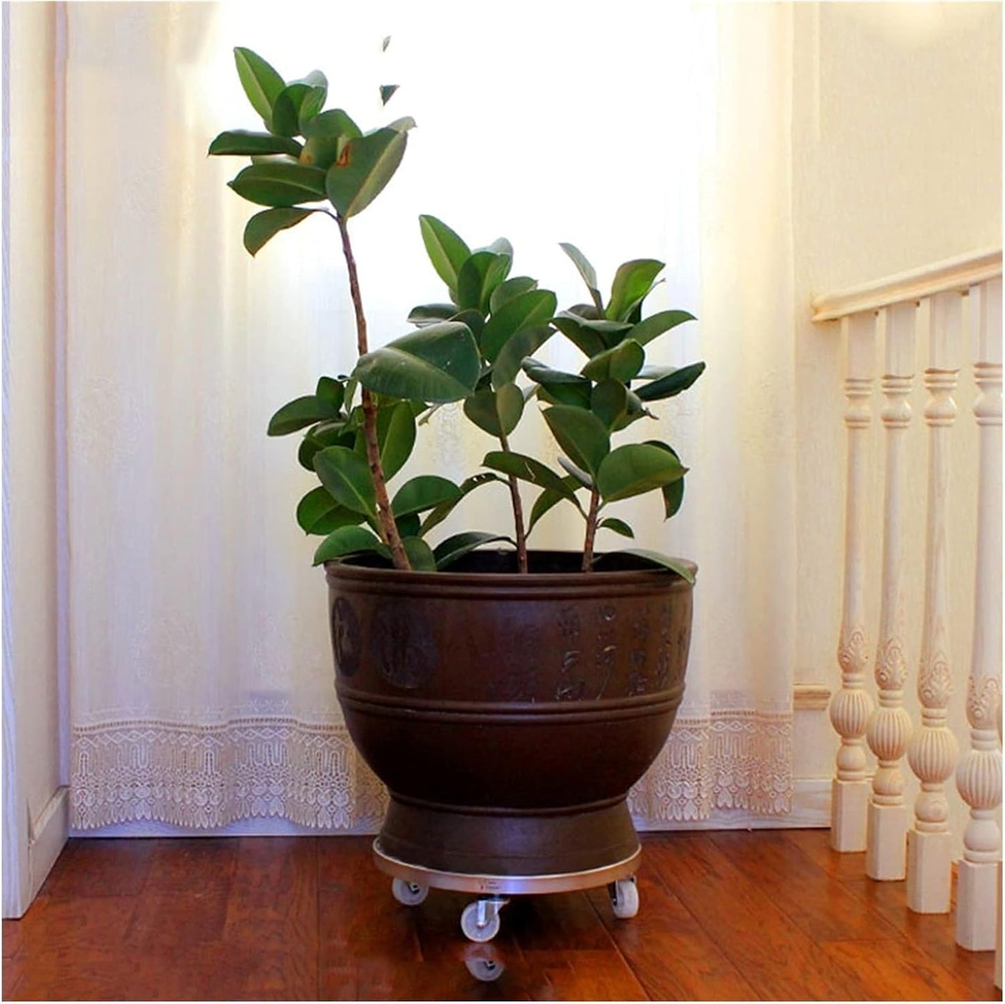Wooden Vase Base Heavy Duty Plant Stand with Wheels, Round Plant Caddy On - Outdoor Flower Pot Rack On Rollers - Indoor Dolly Holder Rolling Wooden Vase Stand (Size : M)